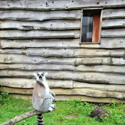 Bristol Zoo Gardens - Bristol