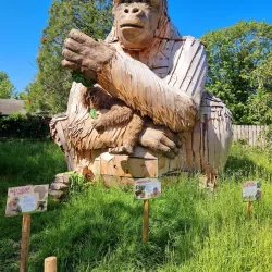 Bristol Zoo Gardens - Bristol