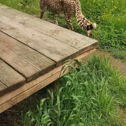 Bristol Zoo Gardens - Bristol