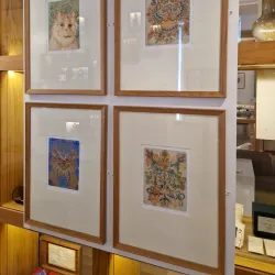 Bromley Museum - Bromley