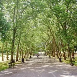 Crystal Palace Park - Bromley