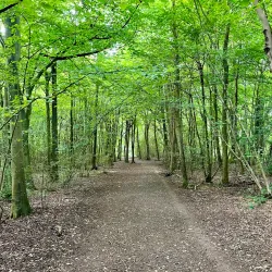 High Elms Country Park - Bromley