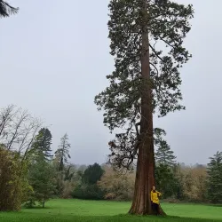 High Elms Country Park - Bromley