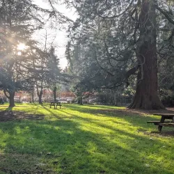 High Elms Country Park - Bromley