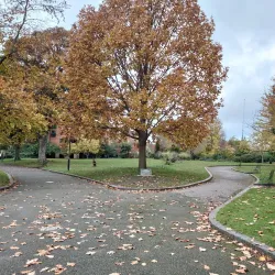 Queens Gardens - Bromley