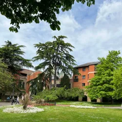 Queens Gardens - Bromley