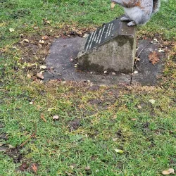 Queens Gardens - Bromley