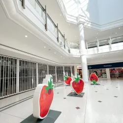 The Glades Shopping Centre - Bromley