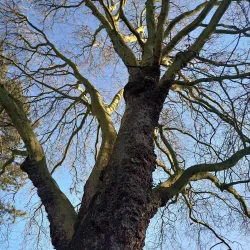 Charford Recreation Ground - Bromsgrove
