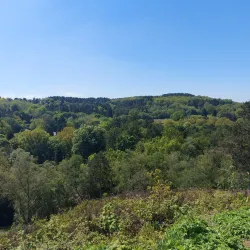Lickey Hills Country Park - Bromsgrove