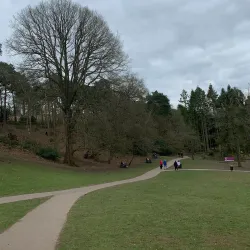 Lickey Hills Country Park - Bromsgrove