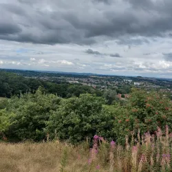 Lickey Hills Country Park - Bromsgrove