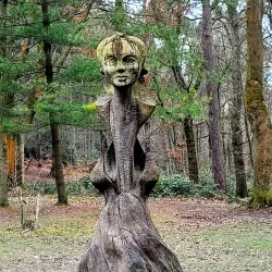 Lickey Hills Country Park - Bromsgrove