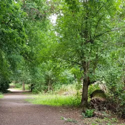 Lickey Hills Country Park - Bromsgrove
