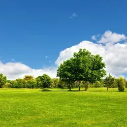 Lickey Hills Country Park - Bromsgrove