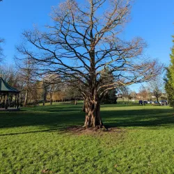 Sanders Park - Bromsgrove