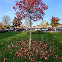 Sanders Park - Bromsgrove