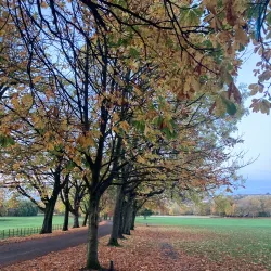 Towneley Golf Club - Burnley