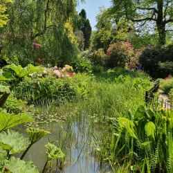 Fletcher Park - Bury