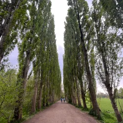 Fletcher Park - Bury