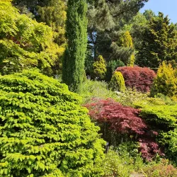 Fletcher Park - Bury