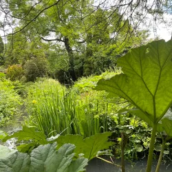 Fletcher Park - Bury