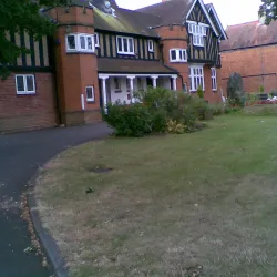 Byfleet Village Green - Byfleet