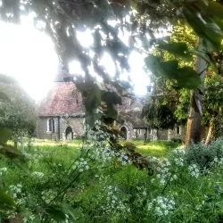 St Mary's Church, Byfleet - Byfleet