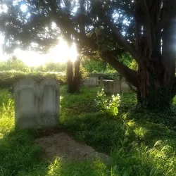 St Mary's Church, Byfleet - Byfleet