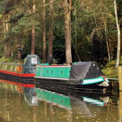 The Basingstoke Canal - Byfleet