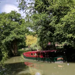 The Basingstoke Canal - Byfleet