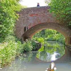 The Basingstoke Canal - Byfleet