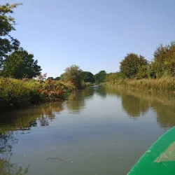 The Basingstoke Canal - Byfleet