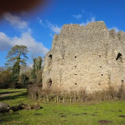 The Basingstoke Canal - Byfleet