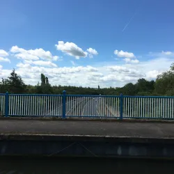 The Basingstoke Canal - Byfleet