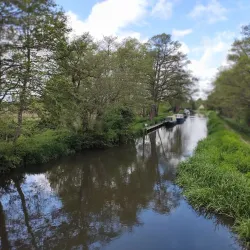 The Wey Navigation Walk - Byfleet