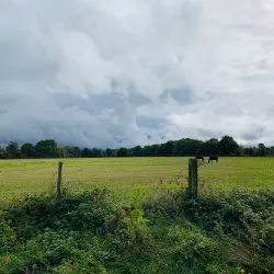 The Wey Navigation Walk - Byfleet