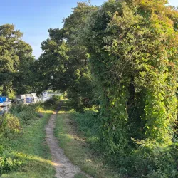 The Wey Navigation Walk - Byfleet