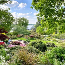 Wisley Gardens (RHS Garden Wisley) - Byfleet