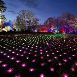 Wisley Gardens (RHS Garden Wisley) - Byfleet