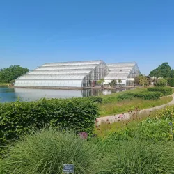 Wisley Gardens (RHS Garden Wisley) - Byfleet