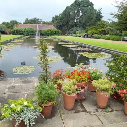 Wisley Gardens (RHS Garden Wisley) - Byfleet