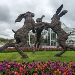 Wisley Gardens (RHS Garden Wisley) - Byfleet