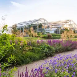 Wisley Gardens (RHS Garden Wisley) - Byfleet