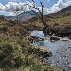 Dinas Emrys - Caernarfon