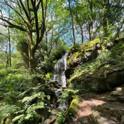 Dinas Emrys - Caernarfon