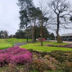 Camberley Heath Golf Club - Camberley