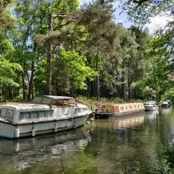 Frimley Lodge Park - Camberley