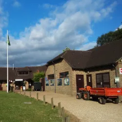 Frimley Lodge Park - Camberley