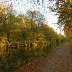 Frimley Lodge Park - Camberley